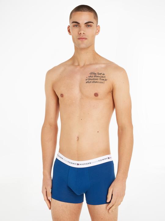 Actual product image Tommy Hilfiger Trunk (L, pack of 3)
