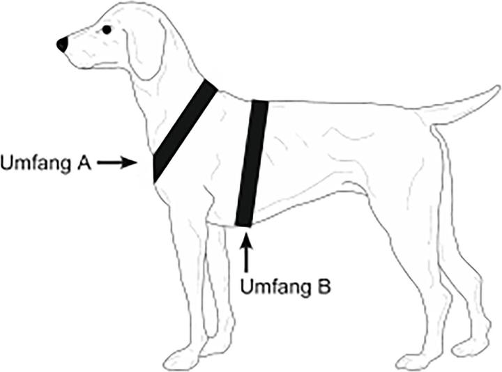 Immagine prodotto Niggeloh Pettorina per cani Segui il sentiero (M, Cane, Sport cane)
