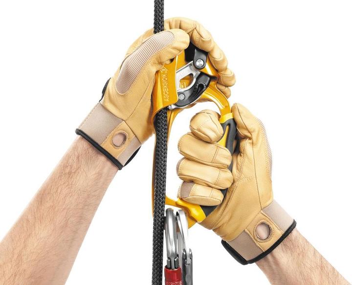 Actual product image Petzl Ascension Links