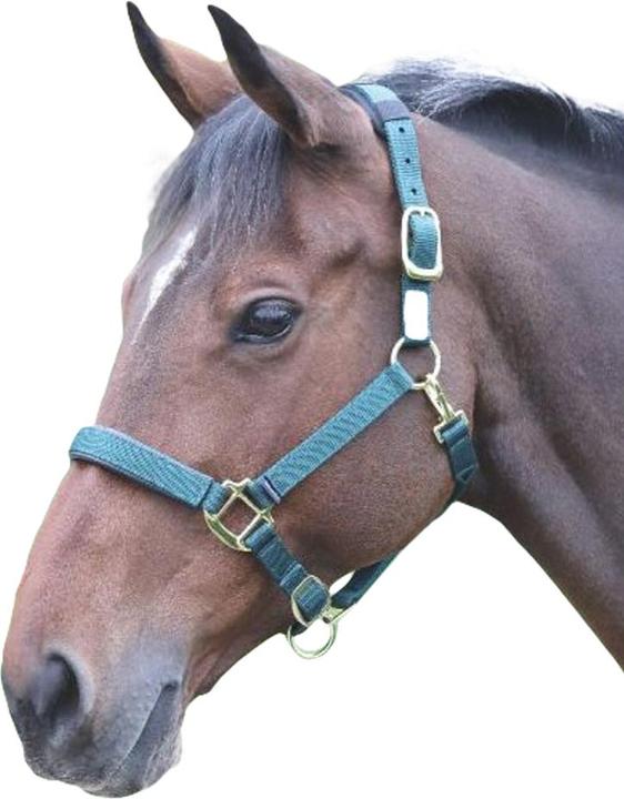 Shires UTER239 P