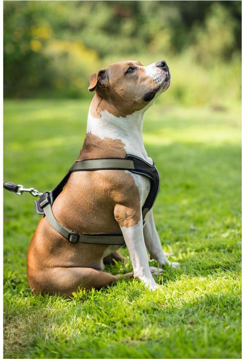 Produktbild Hunter Geschirr NeoprenNylon (S, Hund, Allgemein)