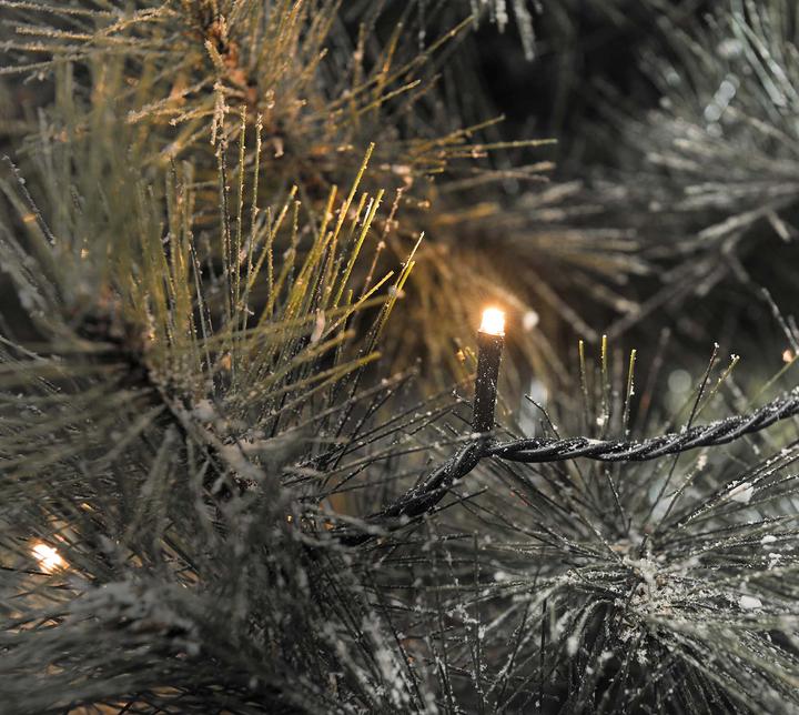 Immagine prodotto Konstsmide Luci di fata (4.19 m)