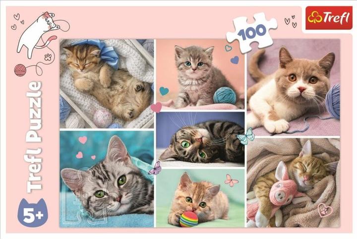 Immagine prodotto Trefl Mondo dei gatti puzzle (100 pezzi)