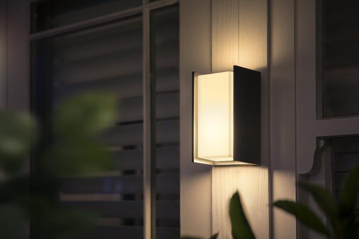 Image du produit Philips Hue Turaco Basis (806 lm, E27)