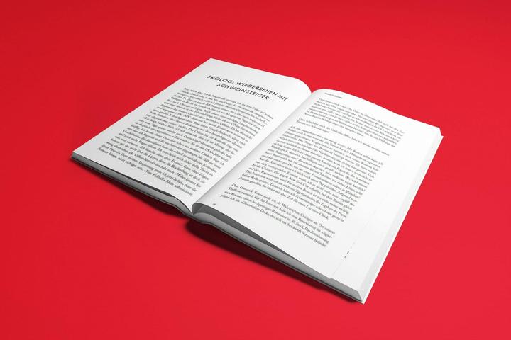 Actual product image Inside FC Bayern (German, Christian Falk, 2020)