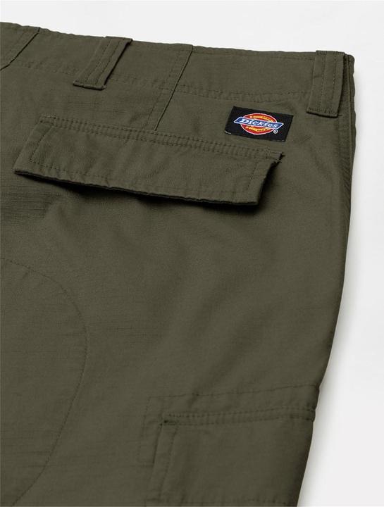 Actual product image Dickies Eagle Bend (30)