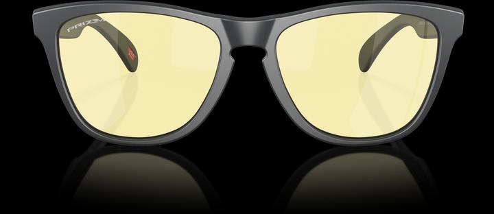Immagine prodotto Oakley Frogskins