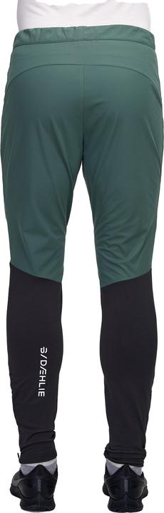 Image du produit Daehlie M Pants Challenge (S)