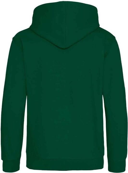 Actual product image Awdis Childrens/Kids Hoodie (140, 146)