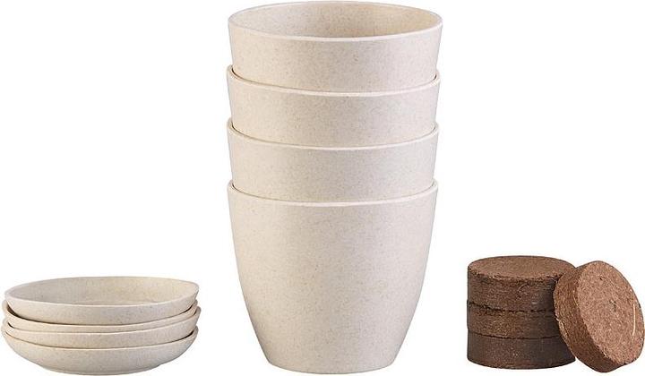 Actual product image Royal Gardineer Bonsai Grow Kit
