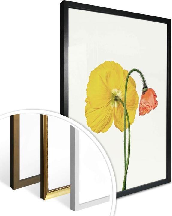 Actual product image Trenddeko The red and yellow flower (30 x 40 cm)