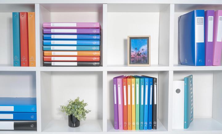 Actual product image Exacompta Ring binder (A4, 40 mm, 1 Piece)