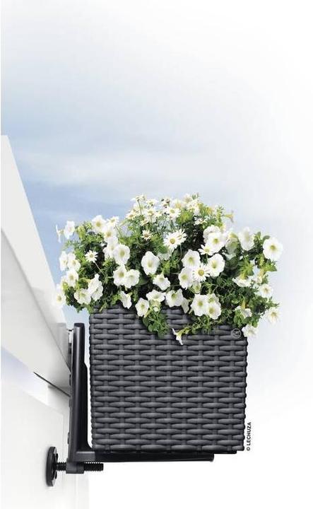 Produktbild Lechuza Balconera Cottage (19 cm)