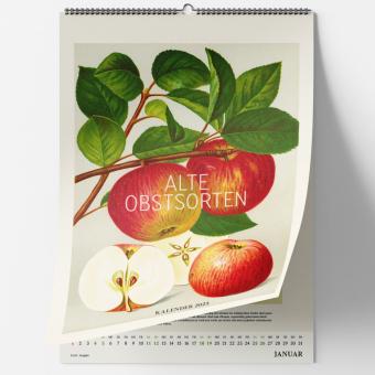 Produktbild Alte Obstsorten. Wandkalender 2025 (30 x 42 cm, Harter Einband, Deutsch)
