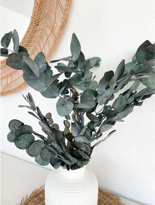 Actual product image Soli Collection Dried flowers eucalyptus 40-55 cm (Dried flowers)