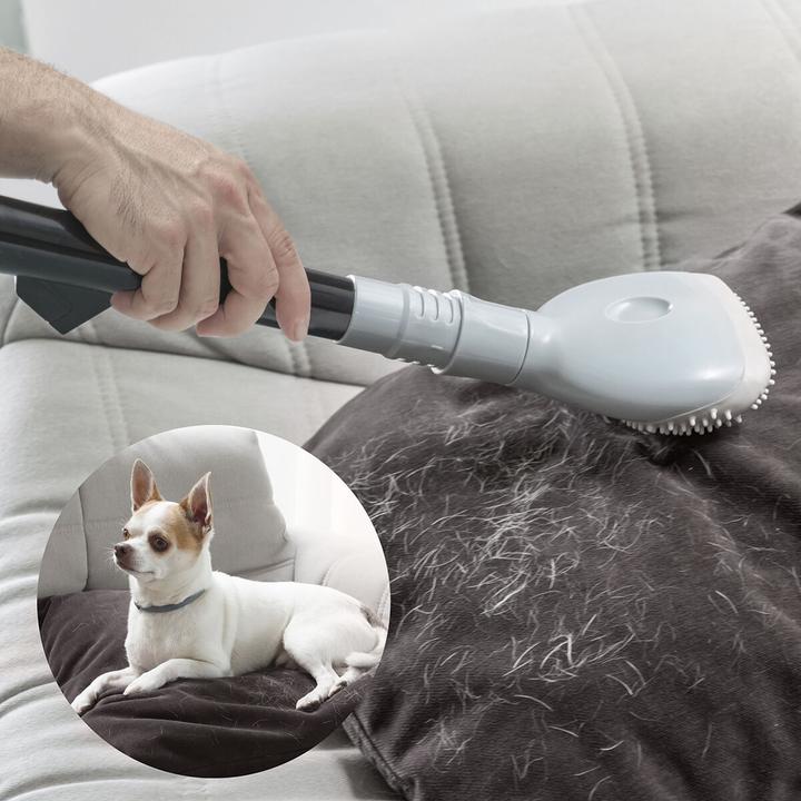 Actual product image InnovaGoods Brush for hoover Smoovah