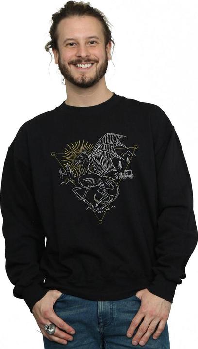 Produktbild Thestral Line Art Sweatshirt (L)
