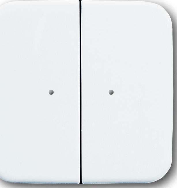 Actual product image Busch-Jaeger WaveLINE 2-channel wall transmitter 2CKA006730A0047