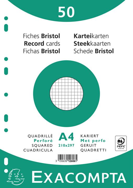 Exacompta Karteikarten (210 x 297 mm, 50 x)