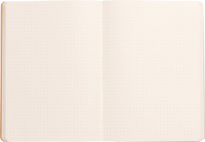 Actual product image Clairefontaine Notebooks and notebooks Rho (A5, Checked, Hardcover)