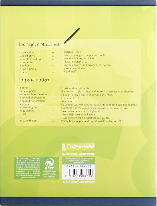 Actual product image Calligaphe Line 8000 CARD