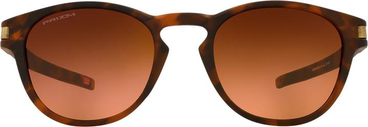 Prizm Brown Gradient, Brown Mat Tortoise