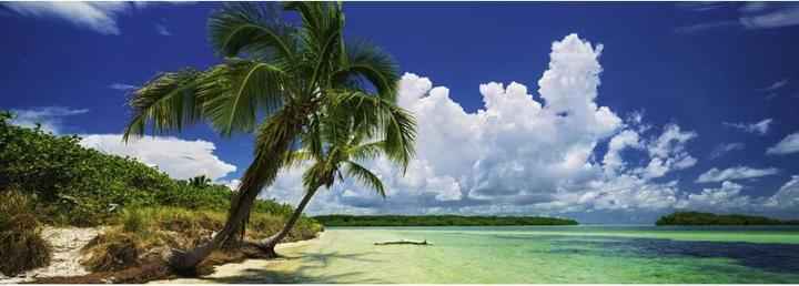 Actual product image Heye Paradise Palms (2000 pieces)