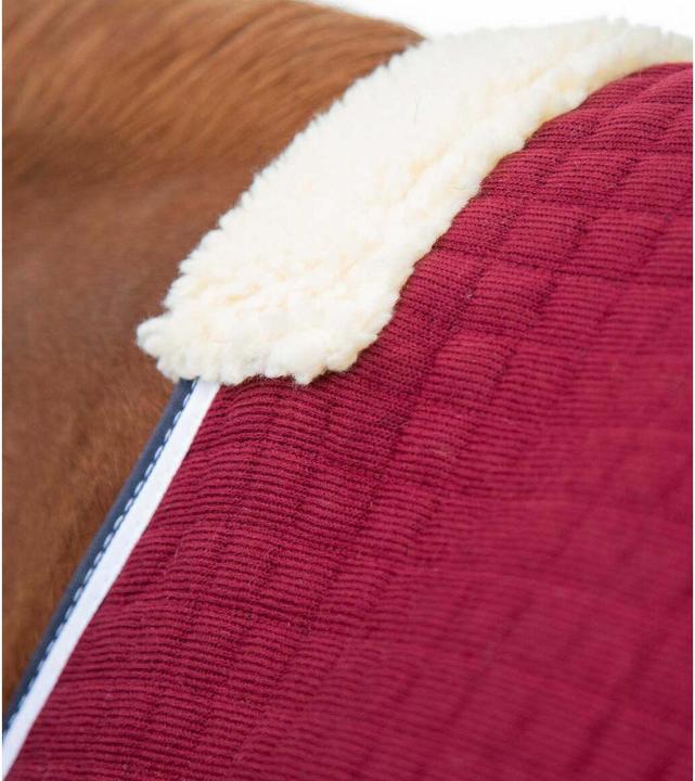 Produktbild Premier Equine Premtex (168 cm)