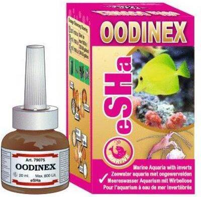 Esha Oodinex (Aquarium cleaning)