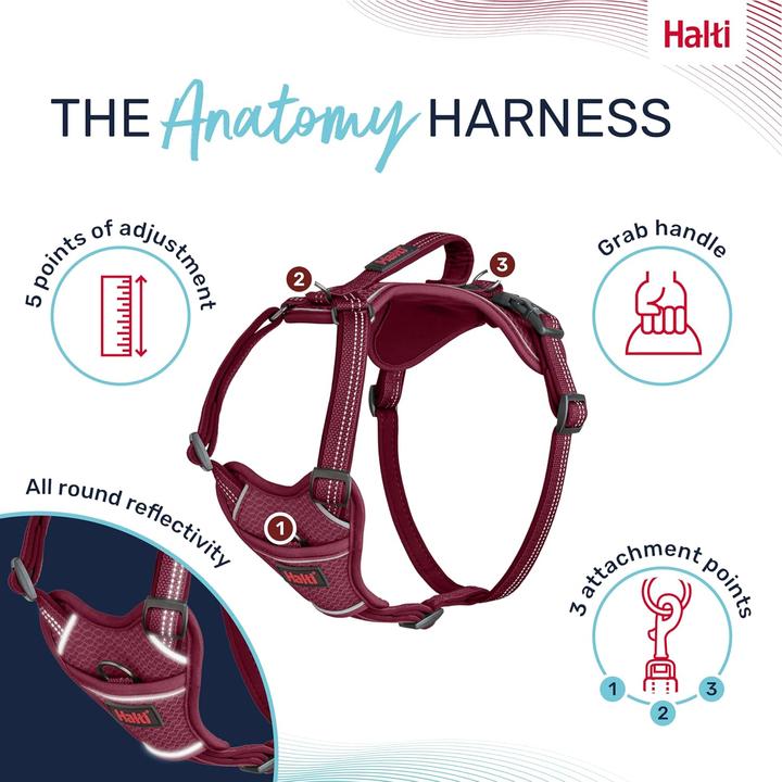 Actual product image Company of Animals Halti Anatomy XL dog harness (XL, Dog, General)