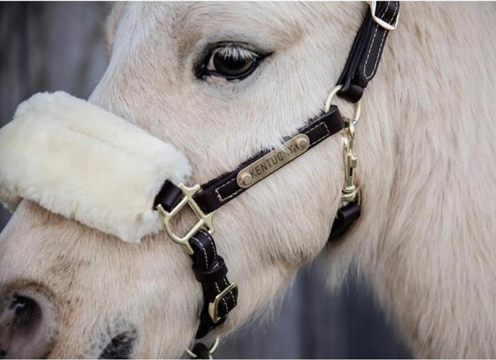 Produktbild Kentucky Horsewear Pony Lederhalfter