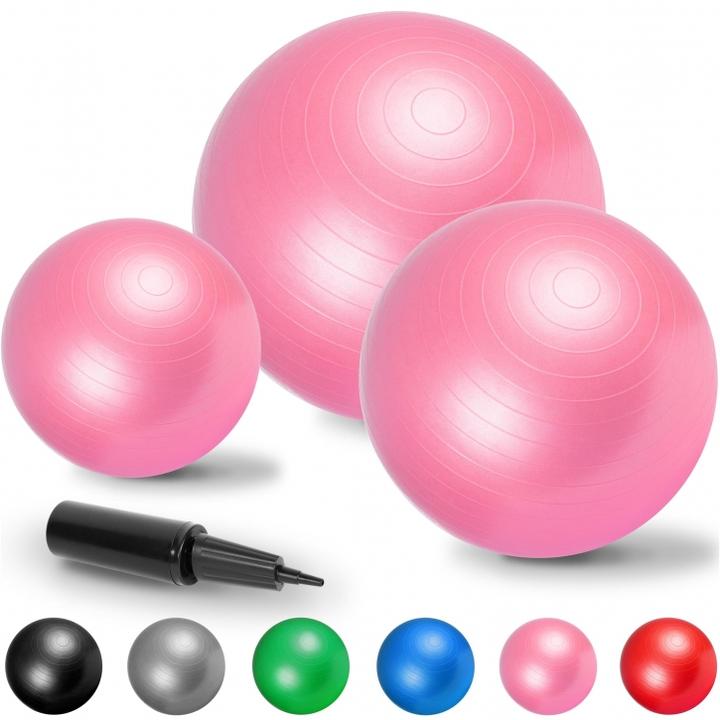 Image du produit Gorilla Sports Balle de gymnastique 355 (65 cm)