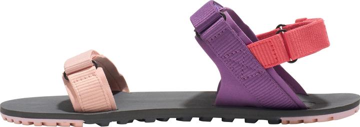 Actual product image Xero Shoes D-Trail (39.5)