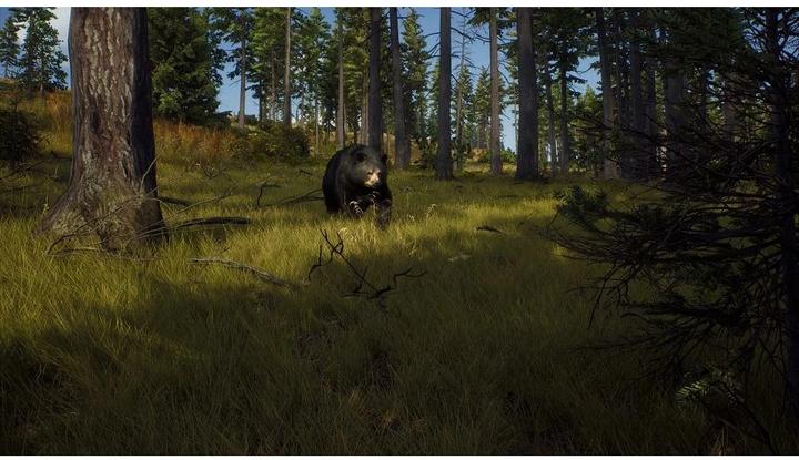 Actual product image THQ Way of the Hunter (Xbox Series X, DE)