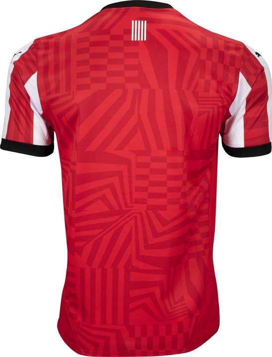 Produktbild Puma Southampton FC Home Jersey (L)