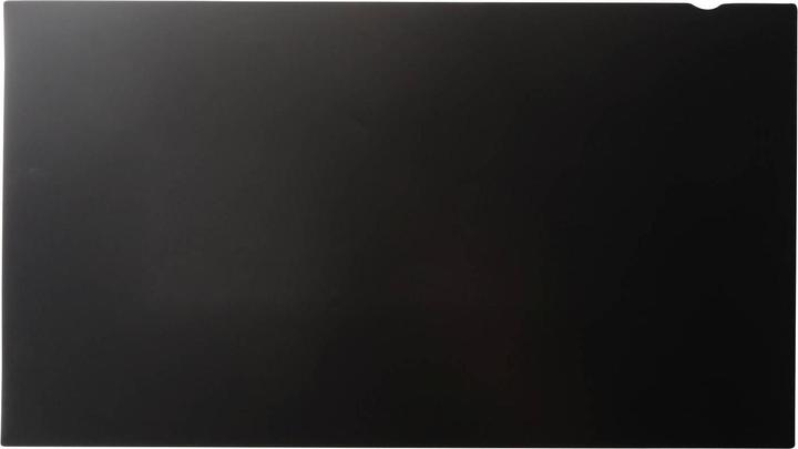 Immagine prodotto Renkforce RF-MPSABL-024 (24", 16 : 9)