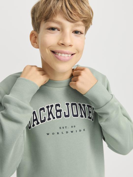 Actual product image Jack & Jones Jjecaleb Varsity Sweat Crew Neck Sn Jnr (176)