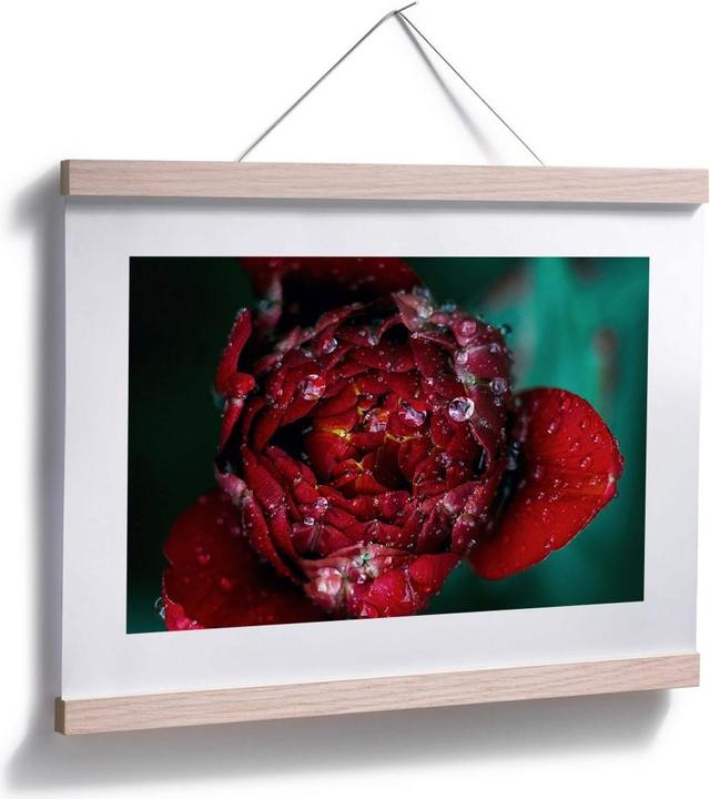 Image du produit Trenddeko Pivoine après la pluie (30 x 24 cm)