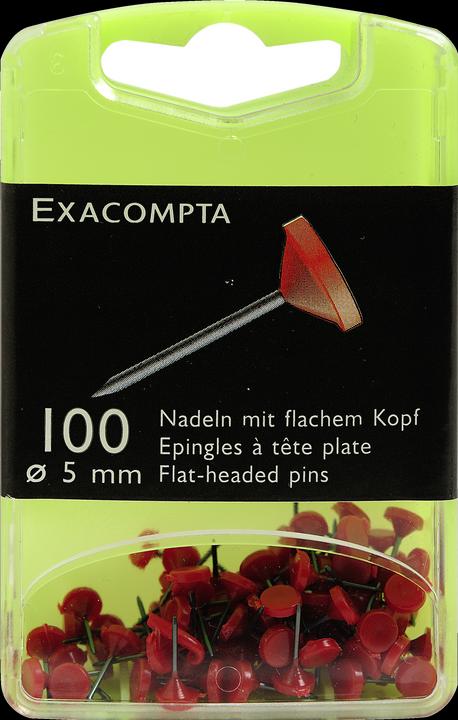 Exacompta Markiernadeln (100 x)
