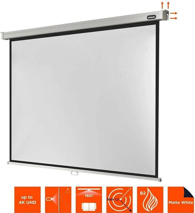 Actual product image Celexon Rollo Professional, Canvas, 4:3 (133.07", 4:3)