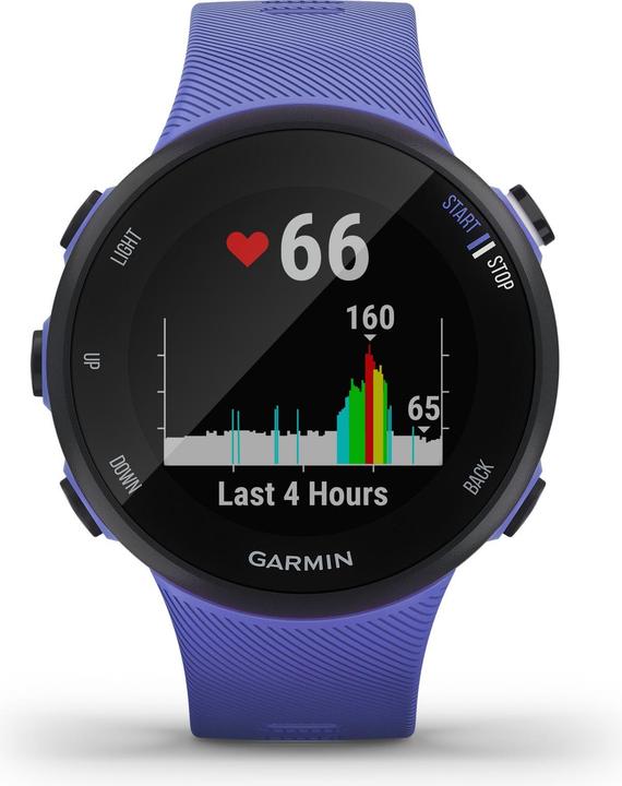 Image du produit Garmin Forerunner 45S (39.50 mm)