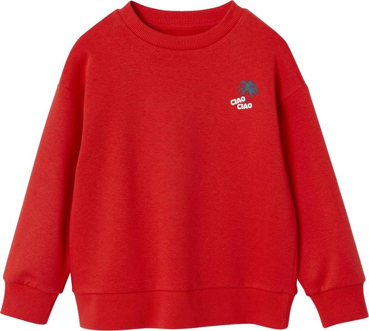 Immagine prodotto Vertbaudet Jungen Sweatshirt mit Urlaubsmotiv hinten, Recycling-Polyester (140)