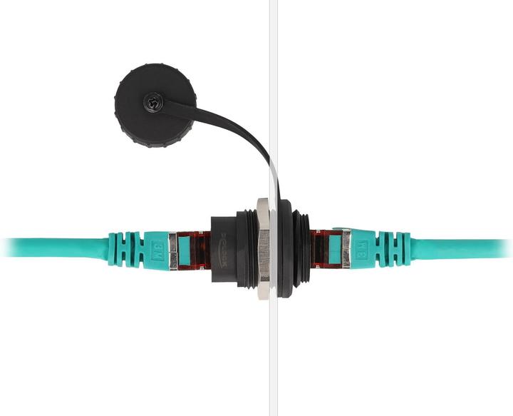 Produktbild Delock RJ45 Cat.6 Einbaubuchse mit Verschlusskappe IP67 staub- und wasserdicht (CAT6, 0.03 m)