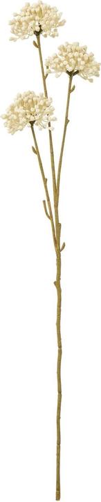 Actual product image Hill Interiors Allium Spray Artificial Flower (60 cm)
