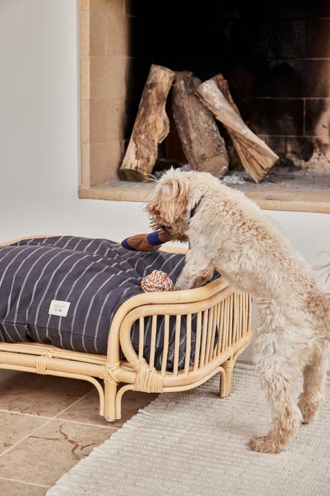 Produktbild Oyoy Hunde-Bett Otto (Hund)