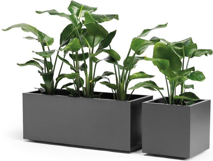 Actual product image Euro3plast Planter (39.50 cm)
