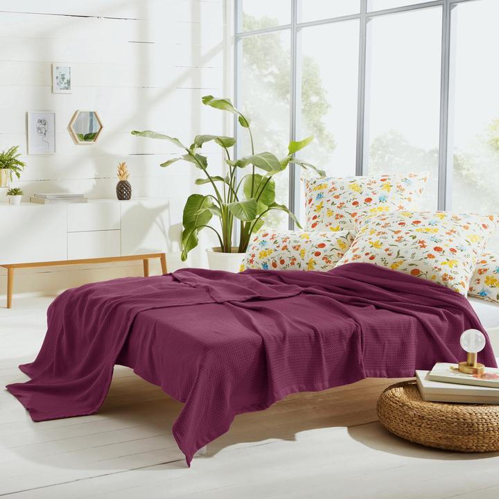 Actual product image Erwin Müller Summer blanket (220 x 240 cm)