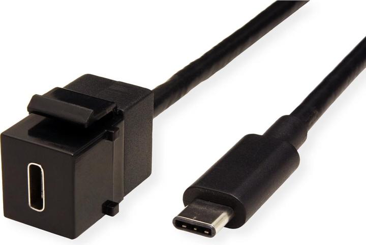 Actual product image Bachmann USB 3.1 Type C Keystone Module (0.50 m, USB 3.1)