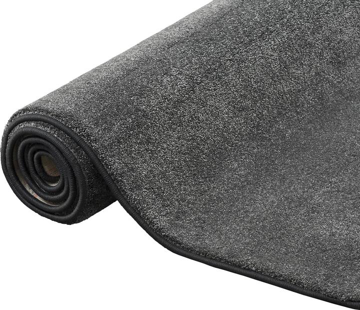 Produktbild Snapstyle Hochflor Luxus Velours Teppich Touch (100 x 400 cm)
