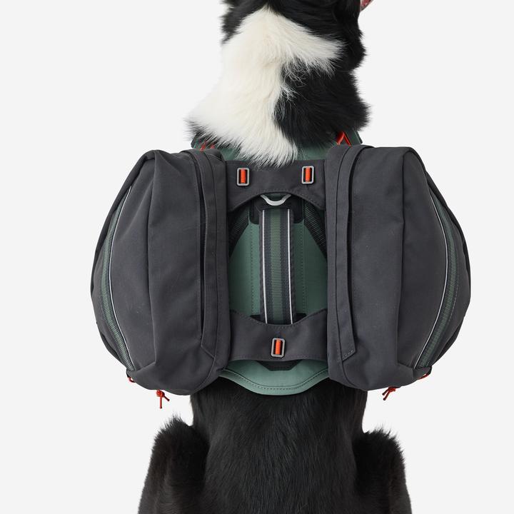 Immagine prodotto Caperlan Hundegeschirr Wandern (S, Cane)